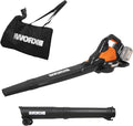 WORX Aspirateur-Souffleur Brushless 40V WG583E.9