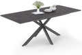 IDMarket - Table à Manger Extensible Rectangle Jaspe 6-10 Personnes Plateau Effet béton Pied araignée Gris Anthracite 160-200cm