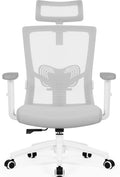 Daccormax Chaise Bureau Ergonomique, Chaise de Bureau avec roulettes, Fauteuil de Bureau Support Lombaire et Accoudoir Réglables